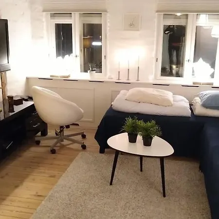 Skon Lejlighed Med Gardhave. - Ottos Kahyt Оденсе